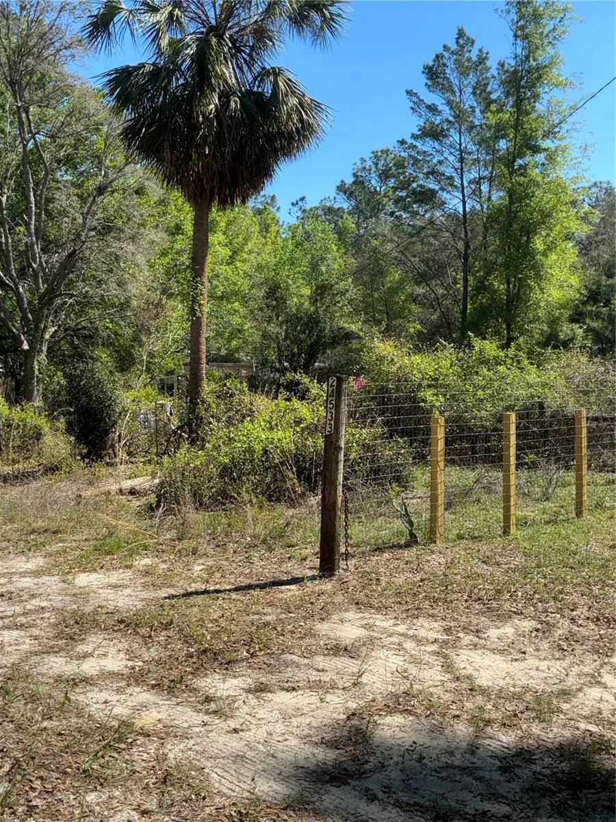 24533 Pink Panther Road, FL