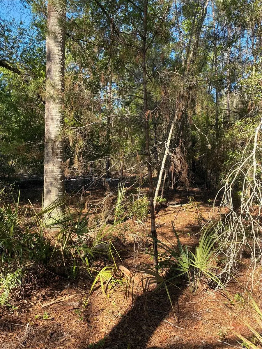 24533 Pink Panther Road, FL