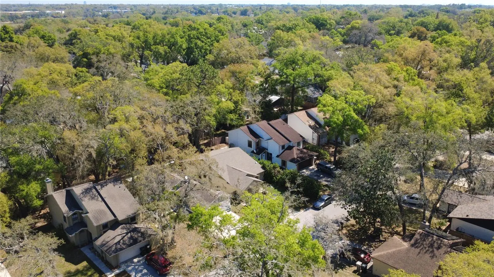 1777 Summit Chase Avenue, FL