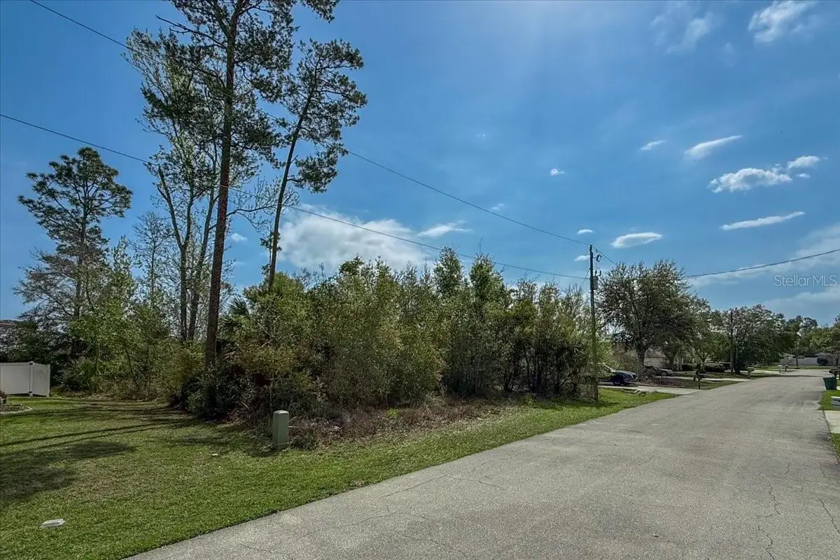 95 Freemont, FL