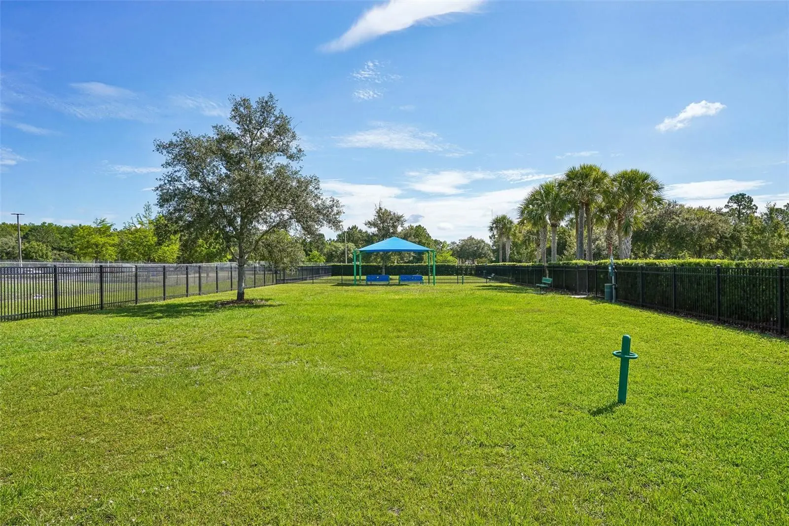 2331 Carnation Hill Court, FL