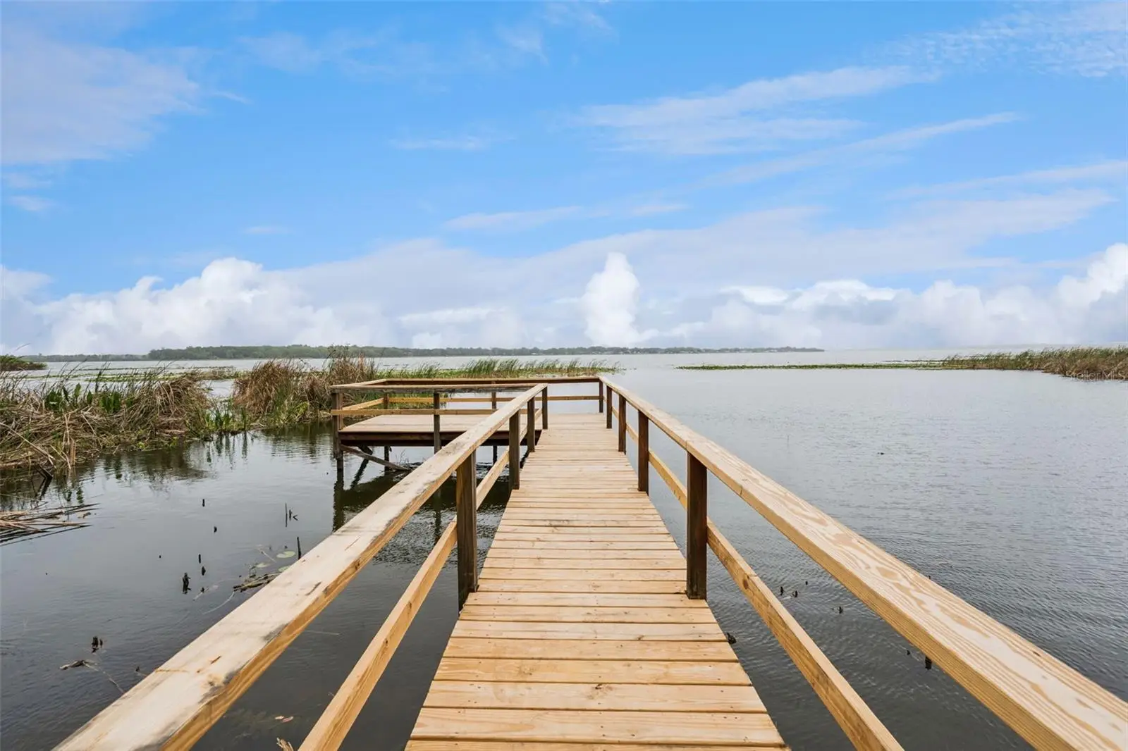2316 Griffin Drive, FL