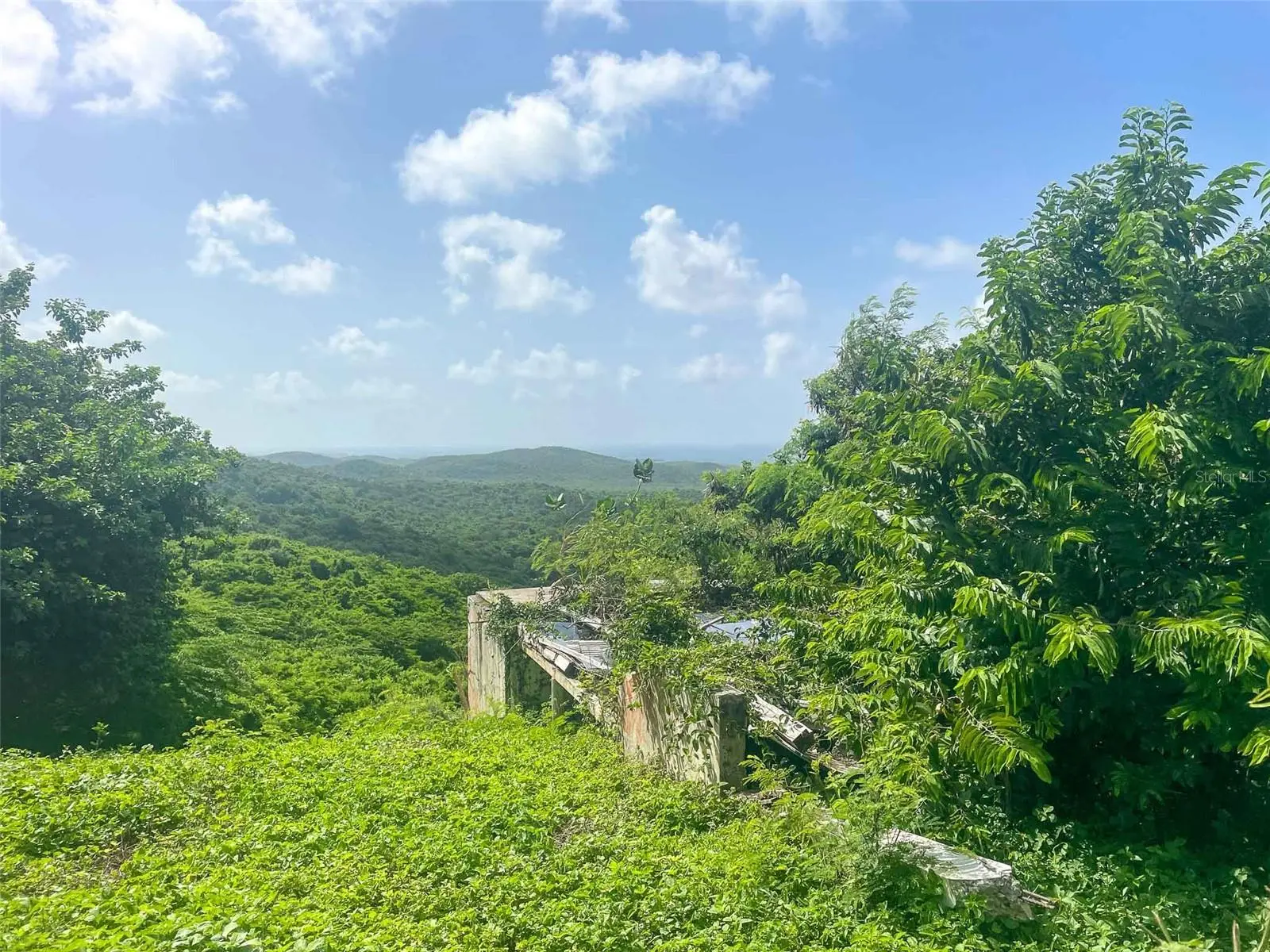 309 Calle Papo Foster, PR