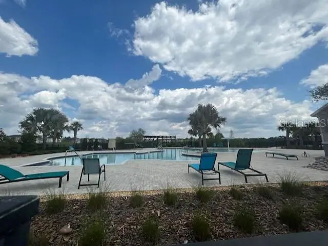 14806 Summer Branch Drive, FL