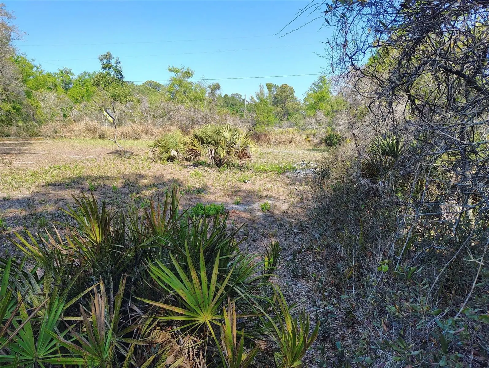 1873 Foxglove Road, FL