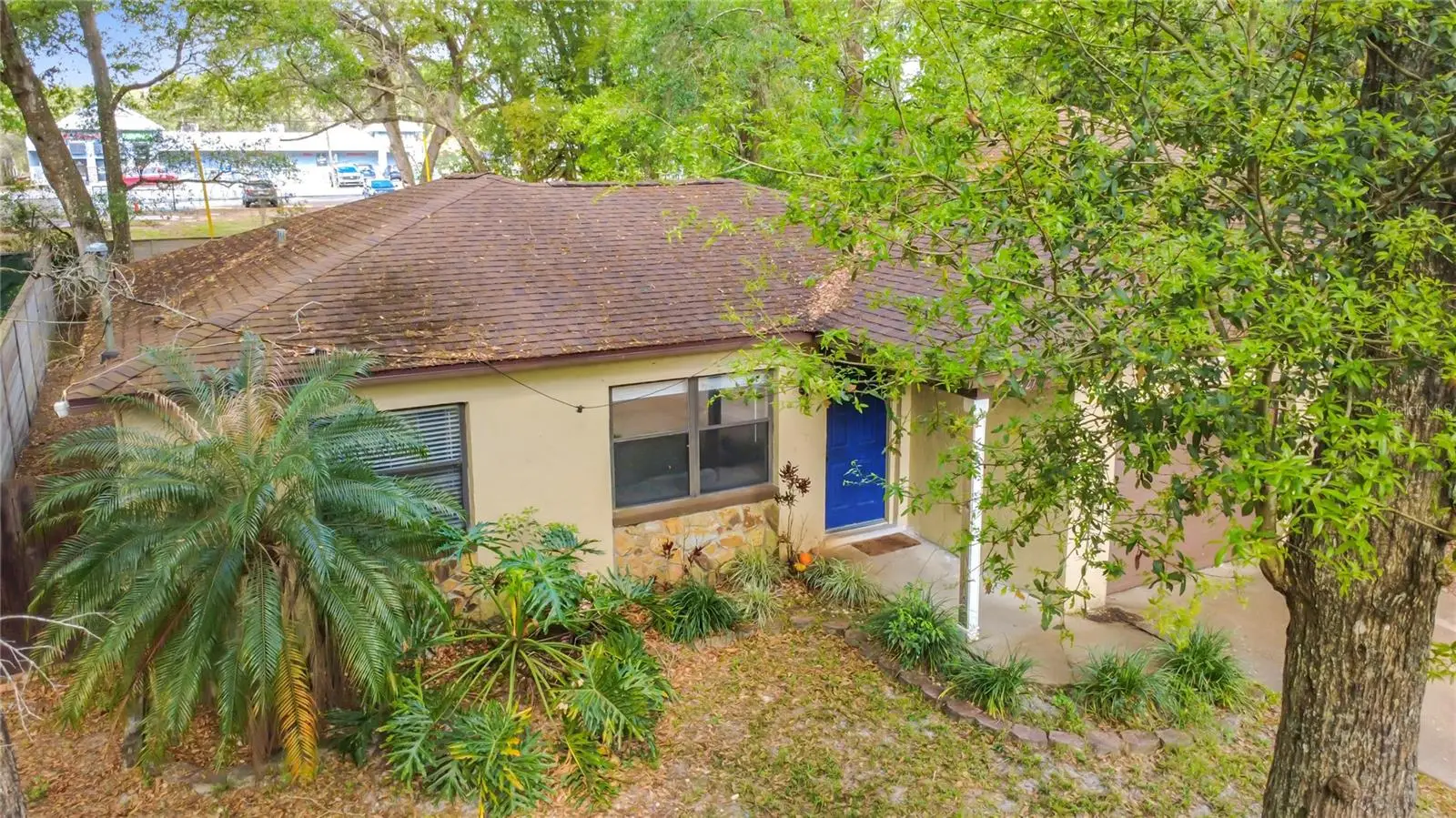 31427 Ghent Avenue, FL