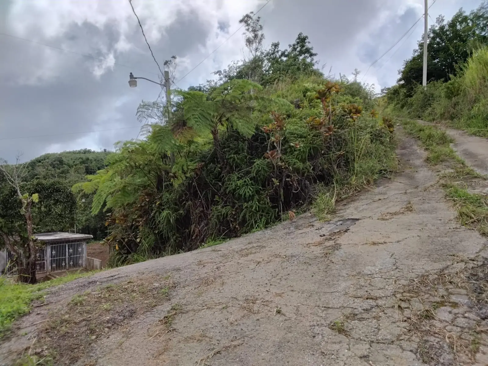 Bo. Indiera Baja, PR