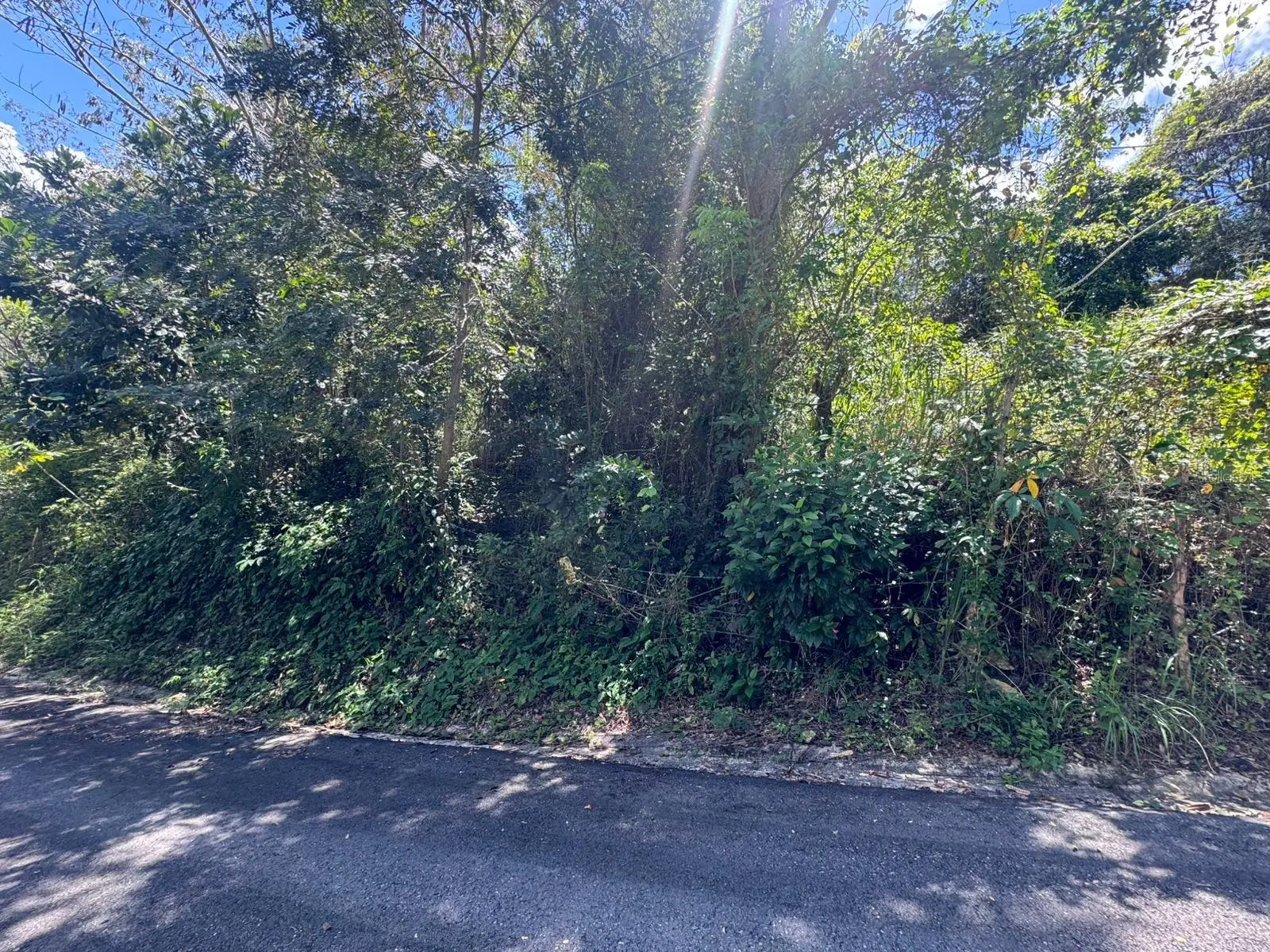 Bo. Guanajibo, PR