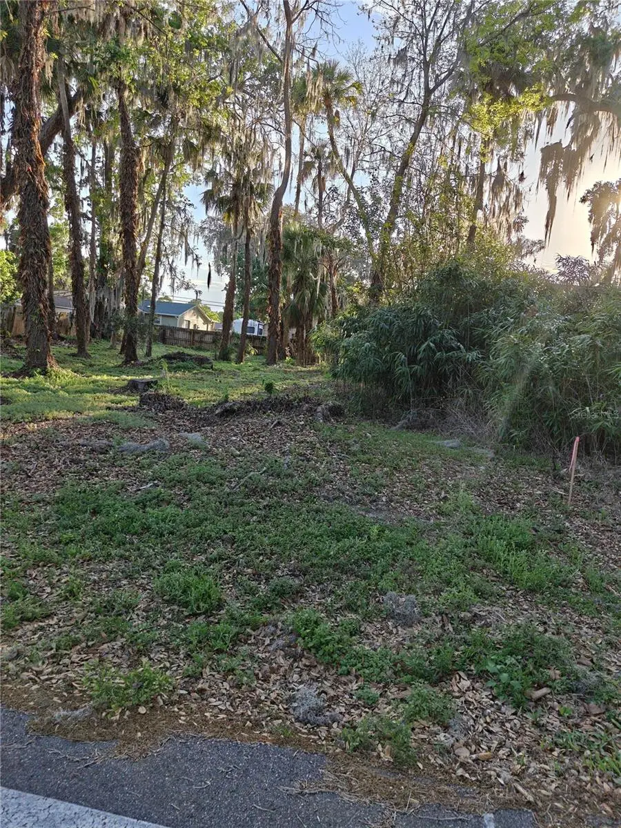 2214 Needle Palm Drive, FL