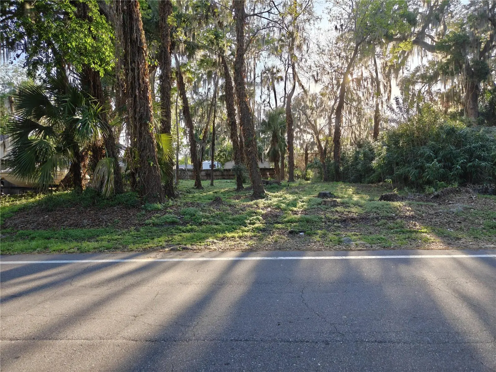 2214 Needle Palm Drive, FL