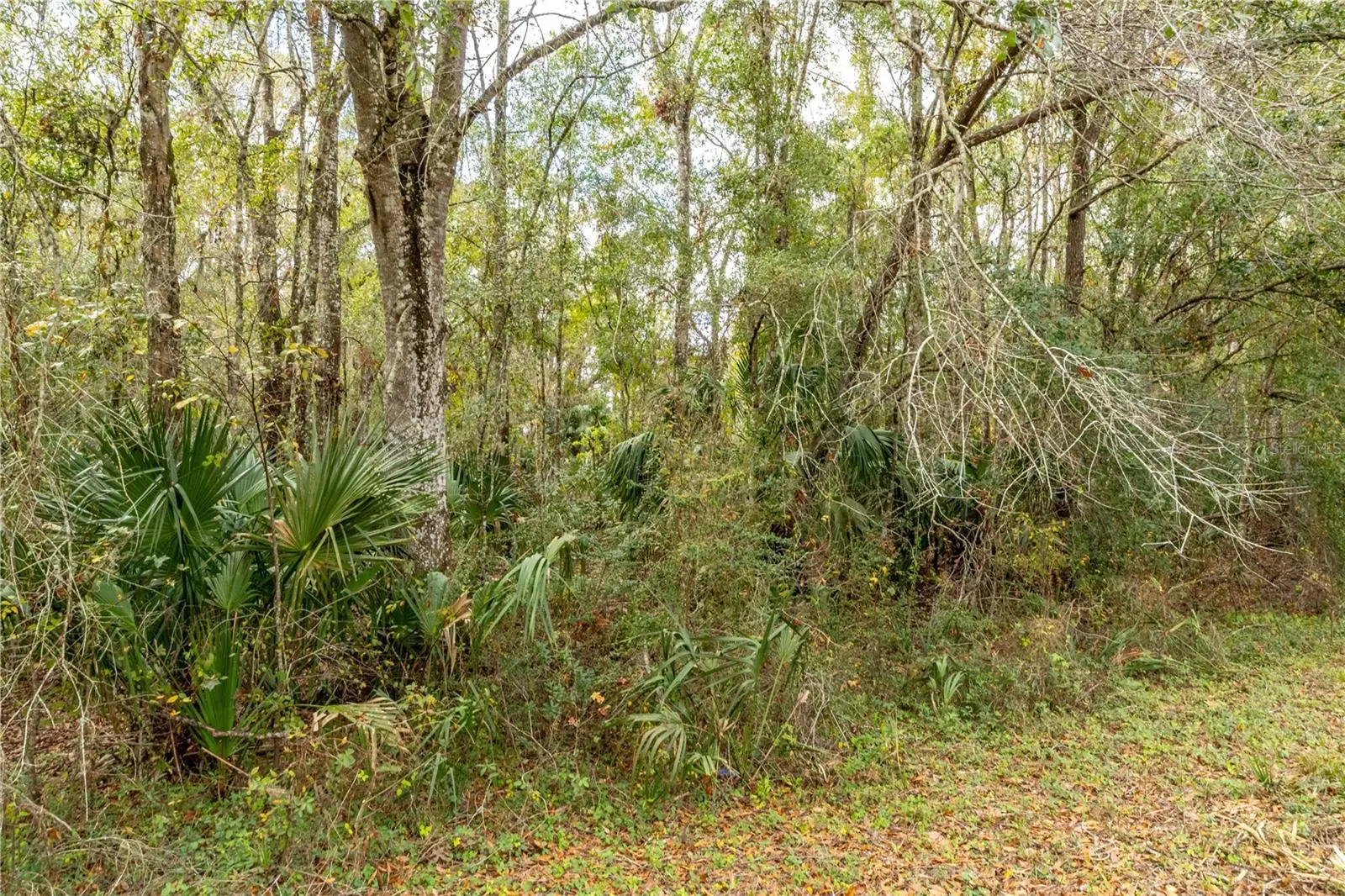 Lake Lindsey Tract 2 Road, FL