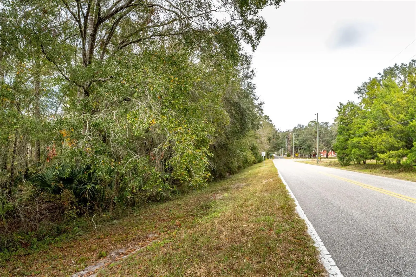 Lake Lindsey Tract 2 Road, FL