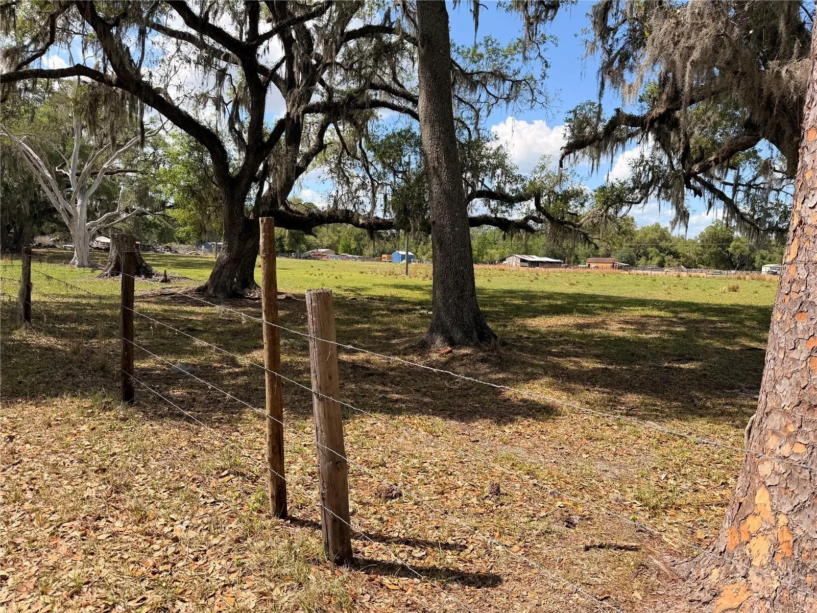 20512 Ramer Road, FL