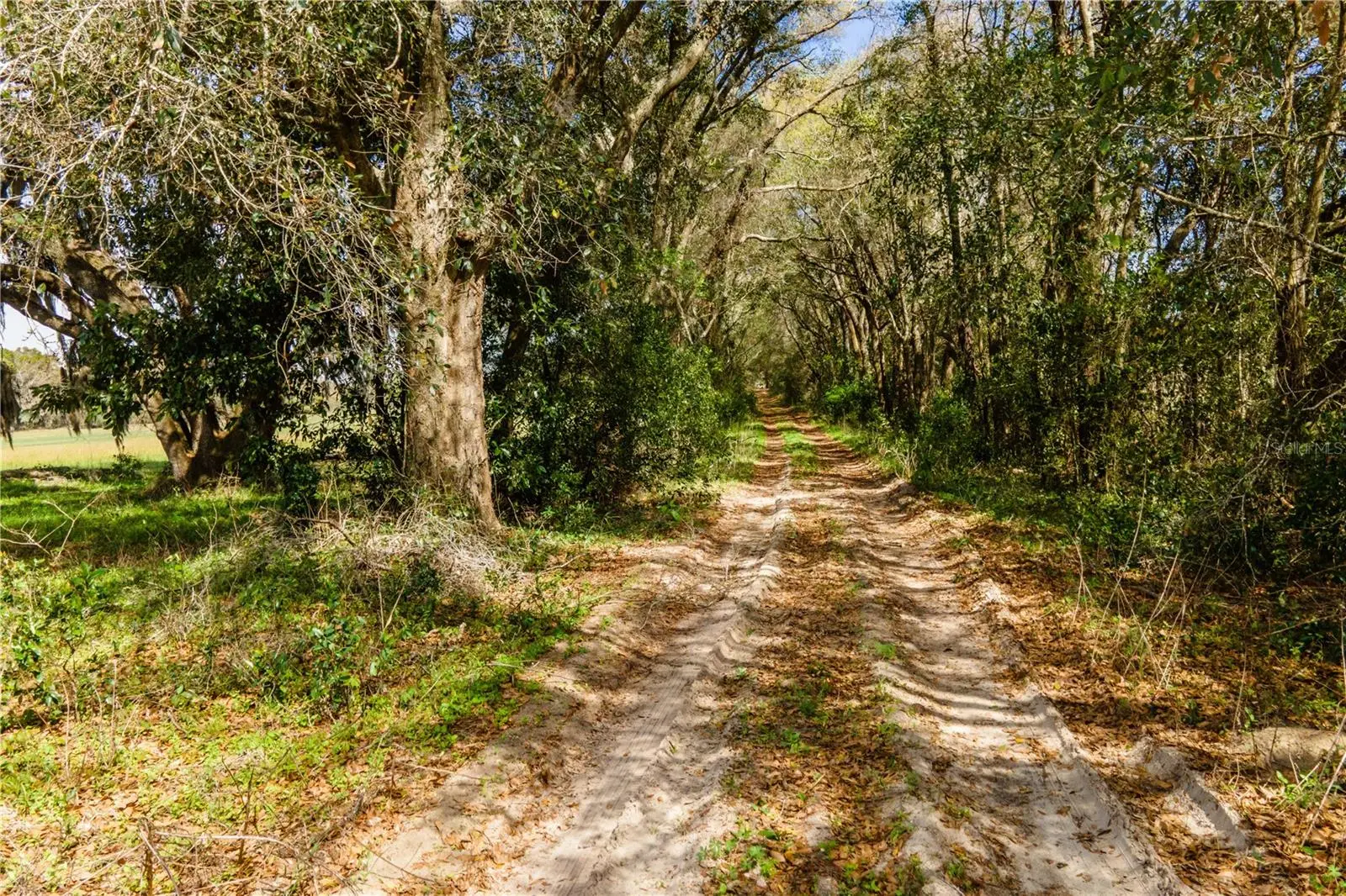 Tbd 298 Street, FL
