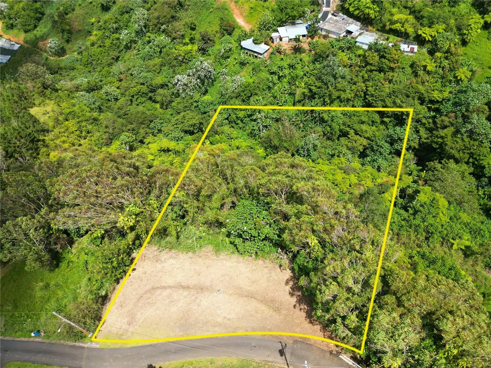 St. 809 Cedro Arriba Sector Santa Teresita Ii, PR