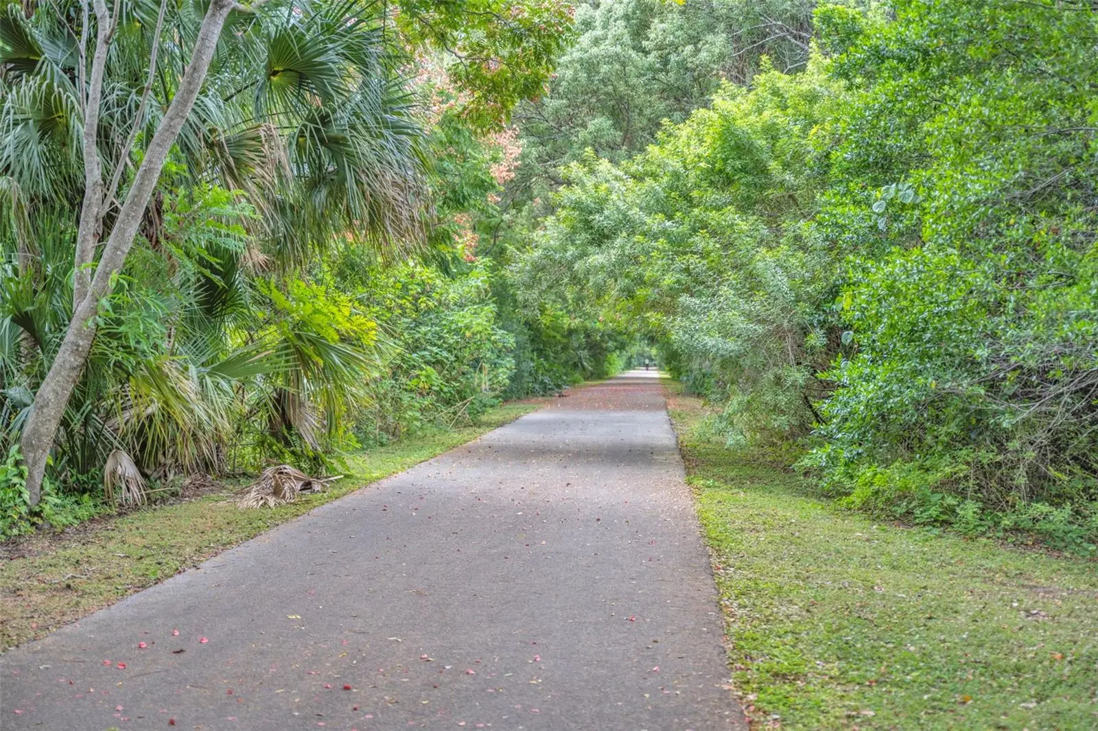 1507 Golfside Drive, FL