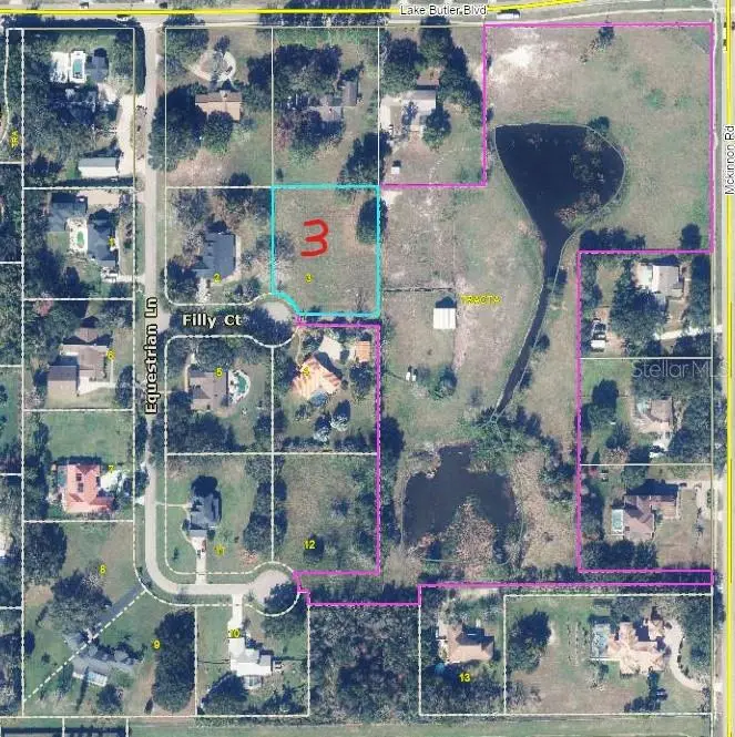 13125 Filly Court, FL