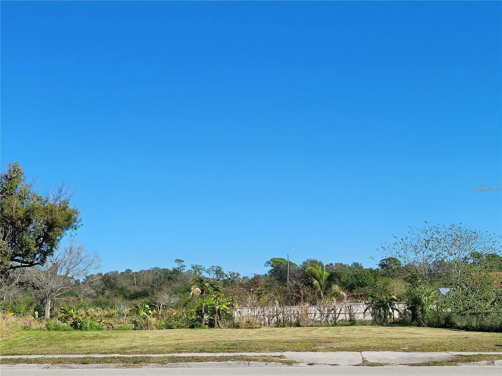 205 Snively Avenue, FL