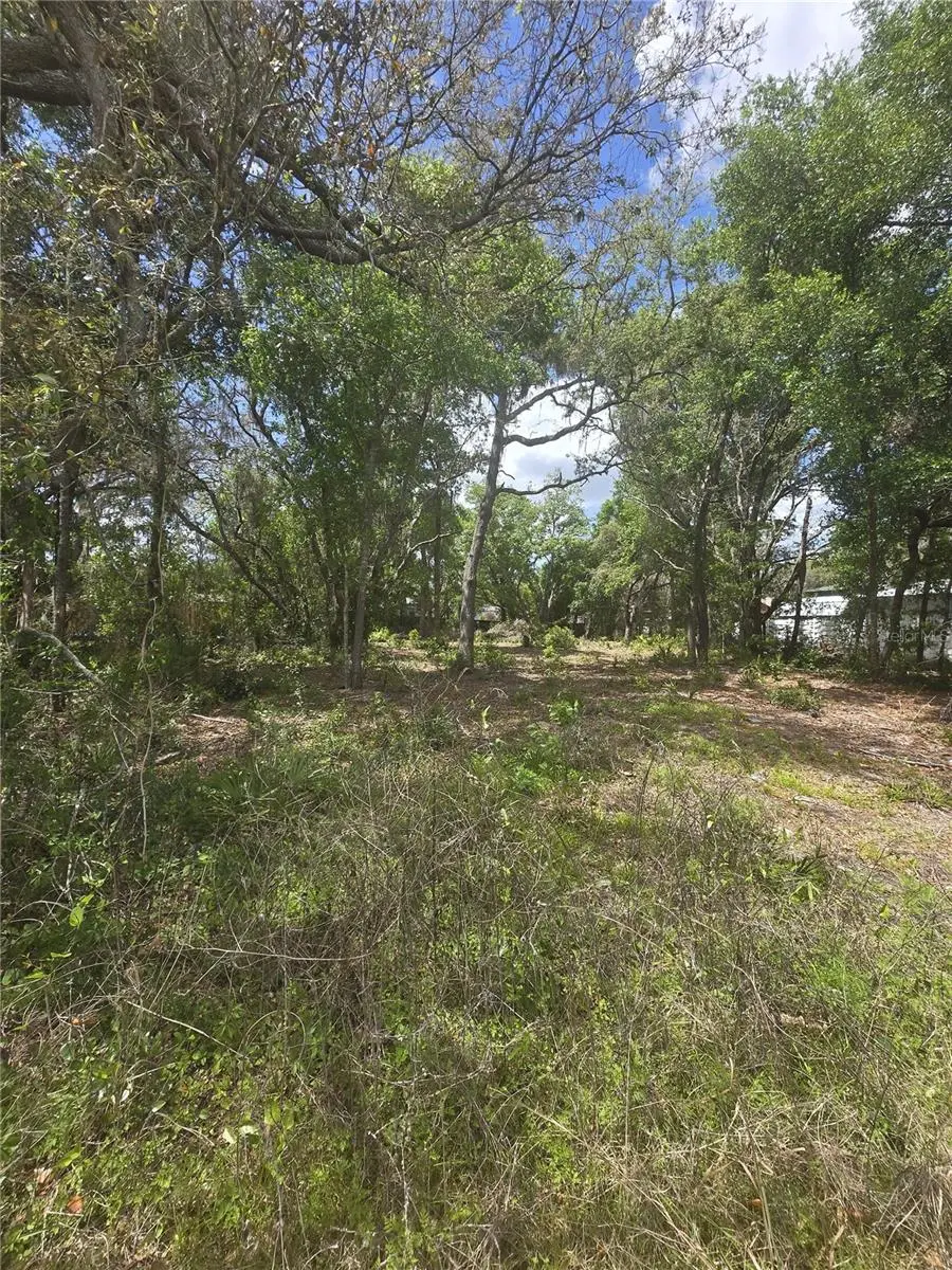 8140 Walt Williams Road, FL