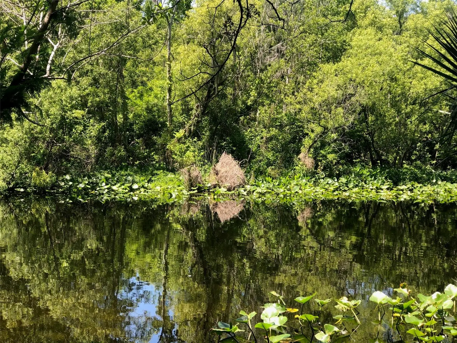 241 Nova Drive, FL