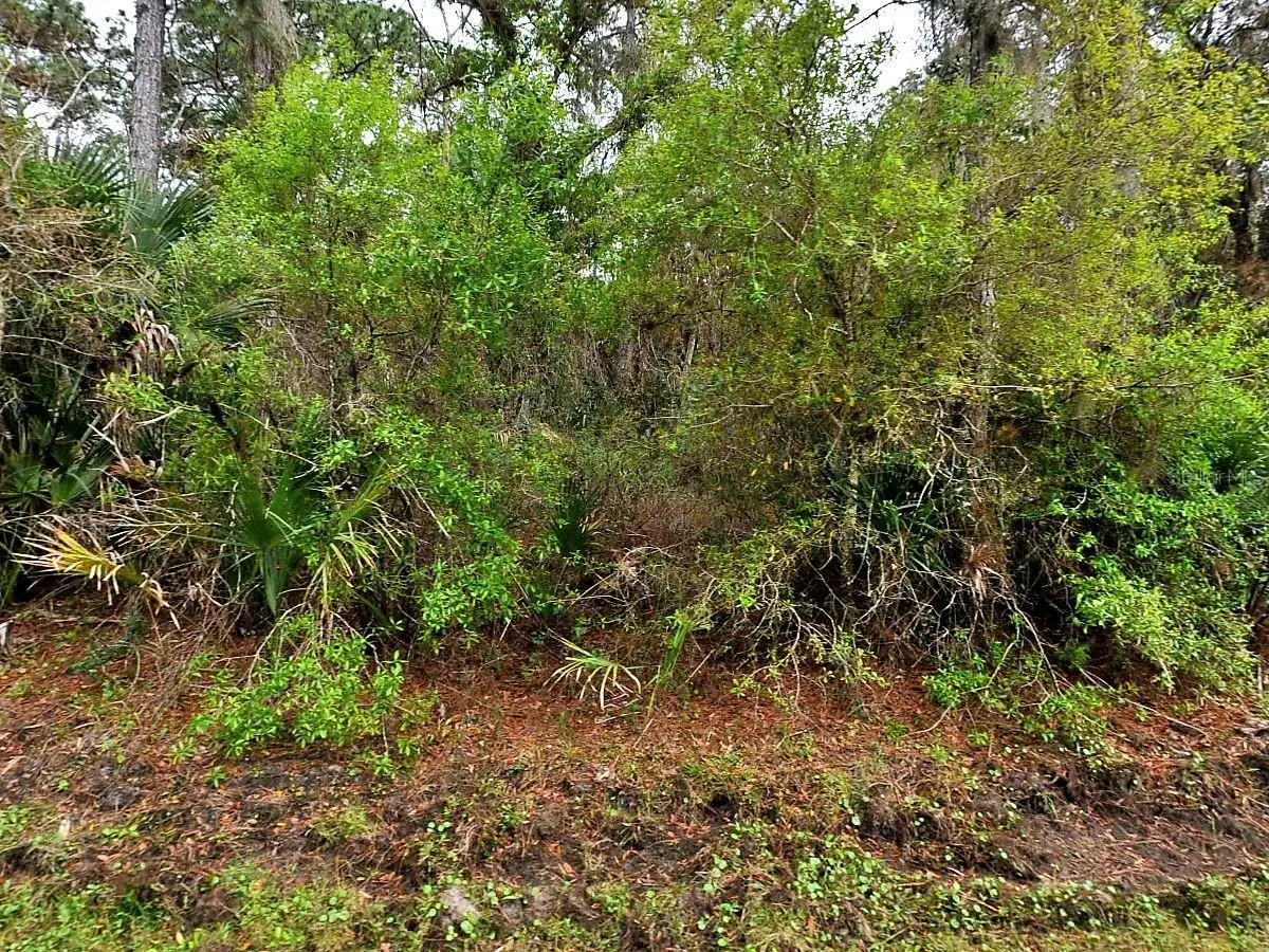 Hurdle Rd., FL