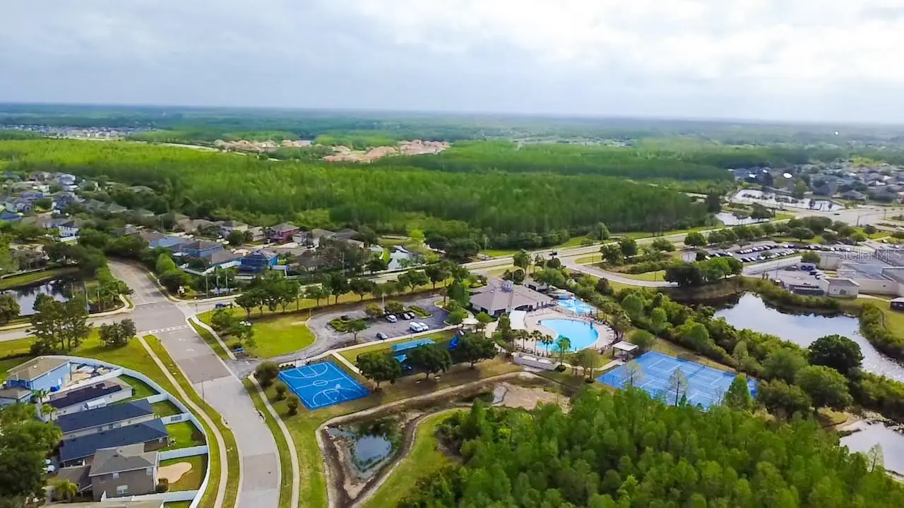 3229 Dunstable Drive, FL
