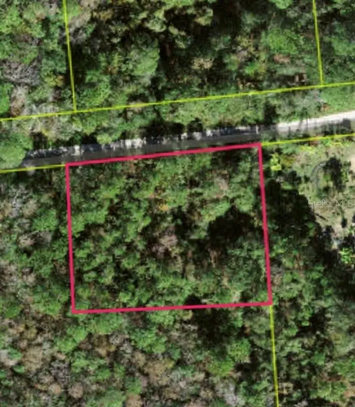 Lot 48 Amelia Trail, FL