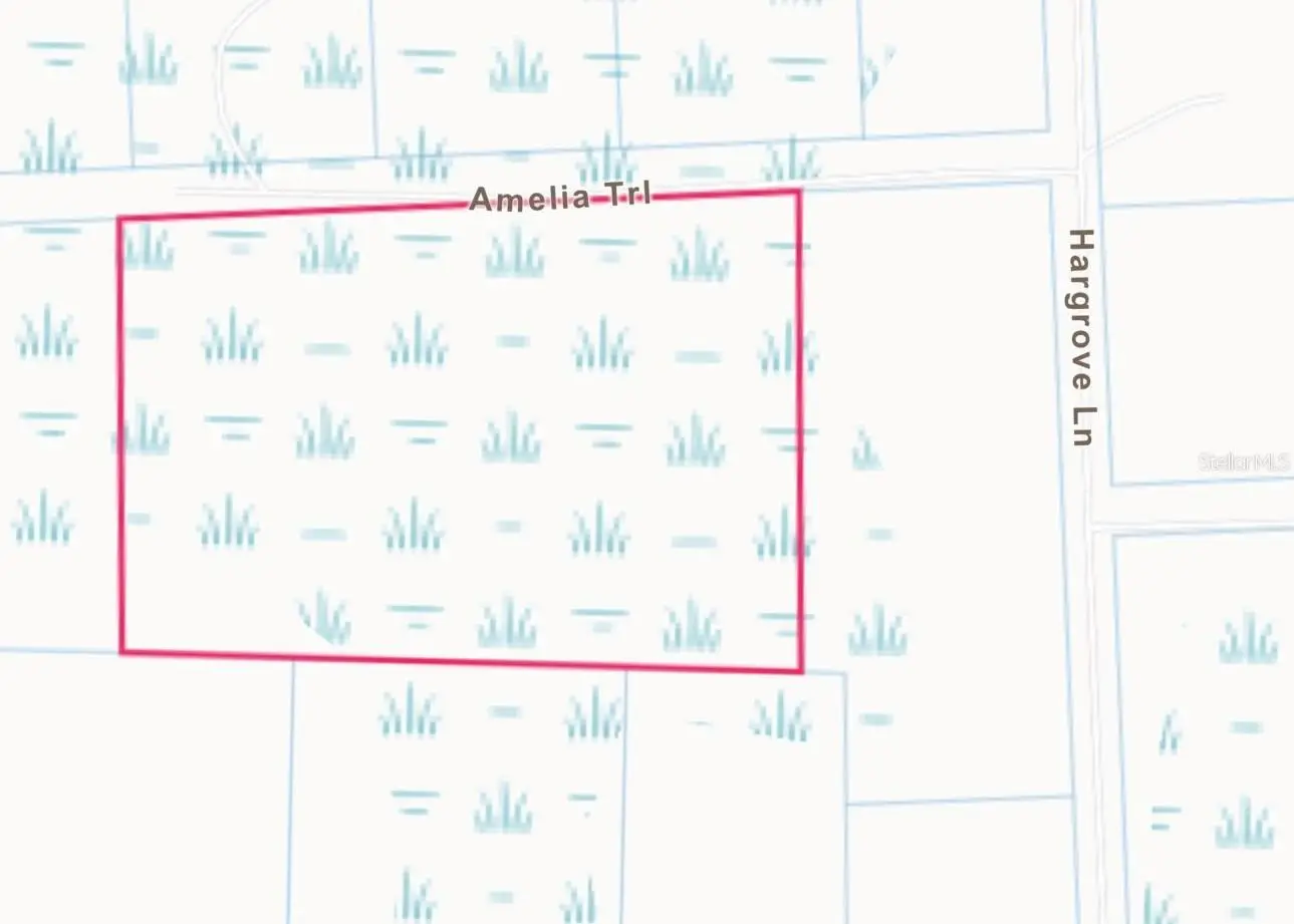 Lot 48 Amelia Trail, FL