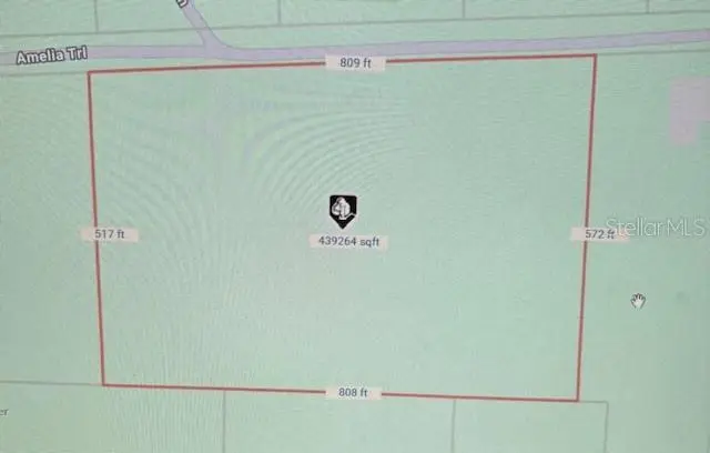 Lot 48 Amelia Trail, FL