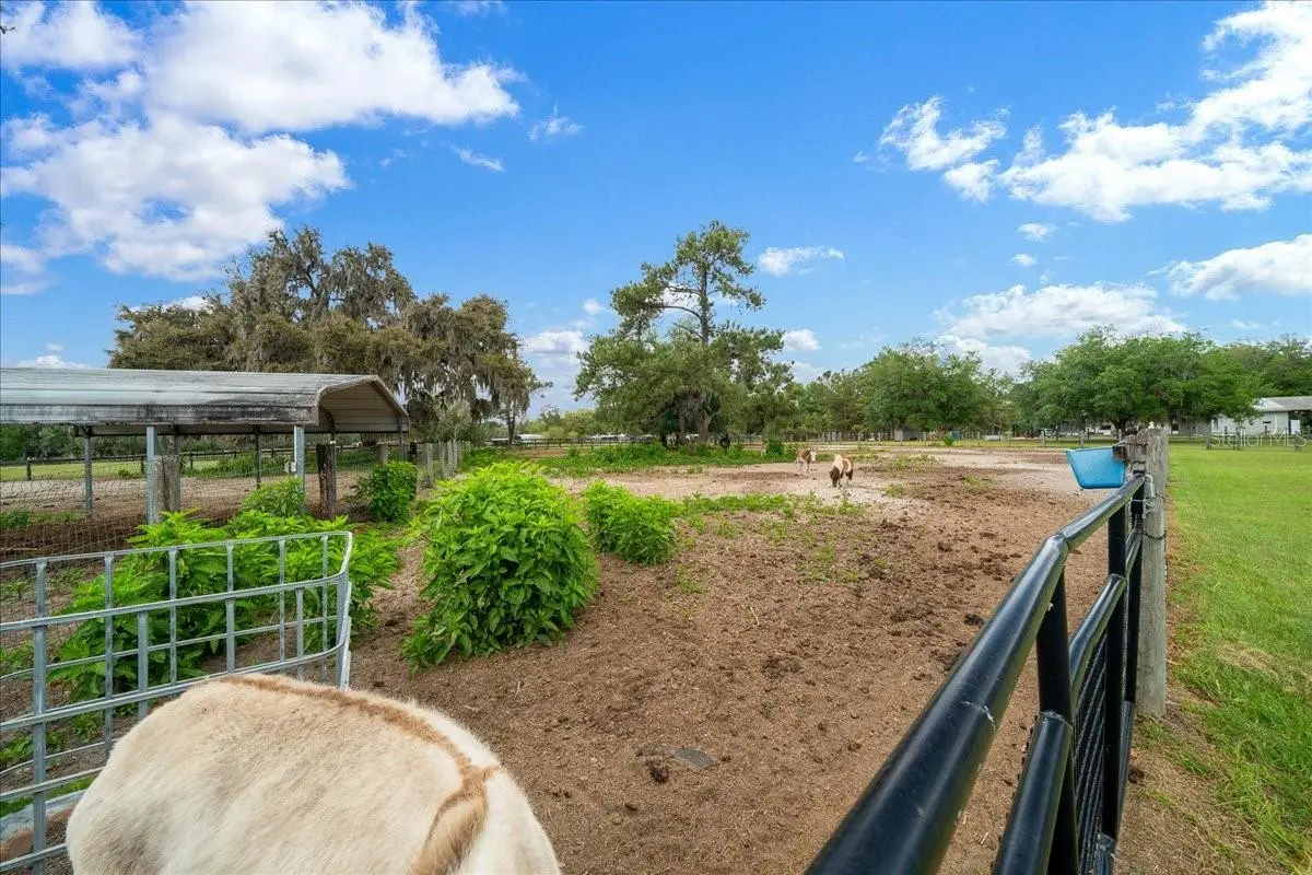 13456 Highway 318, FL