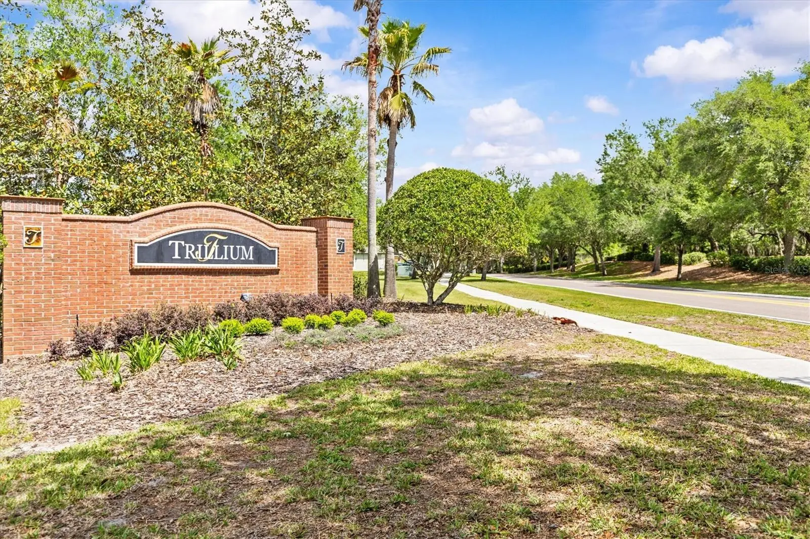 601 Nodding Shade Drive, FL