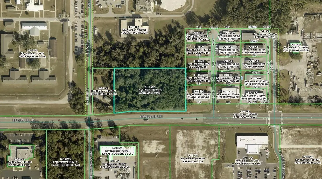 00 Spring Hill Drive, FL