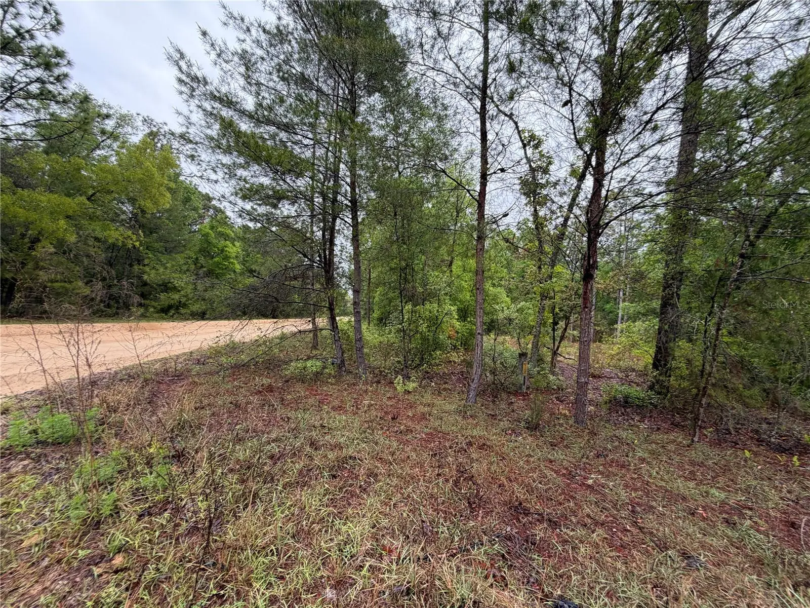 301 Rainbow Drive, FL