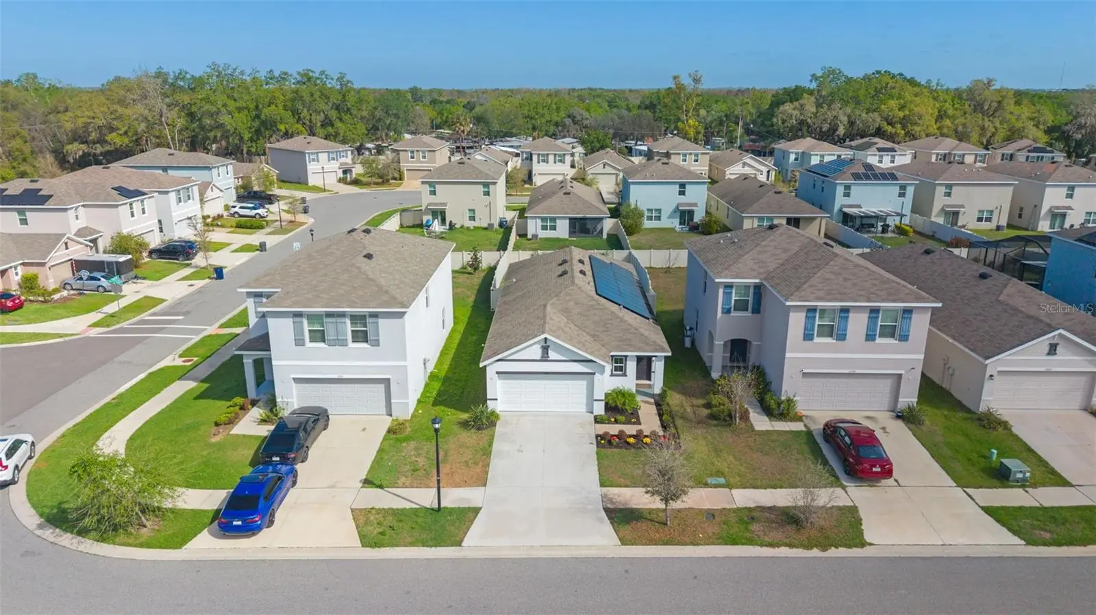 10918 Trailing Vine Drive, FL