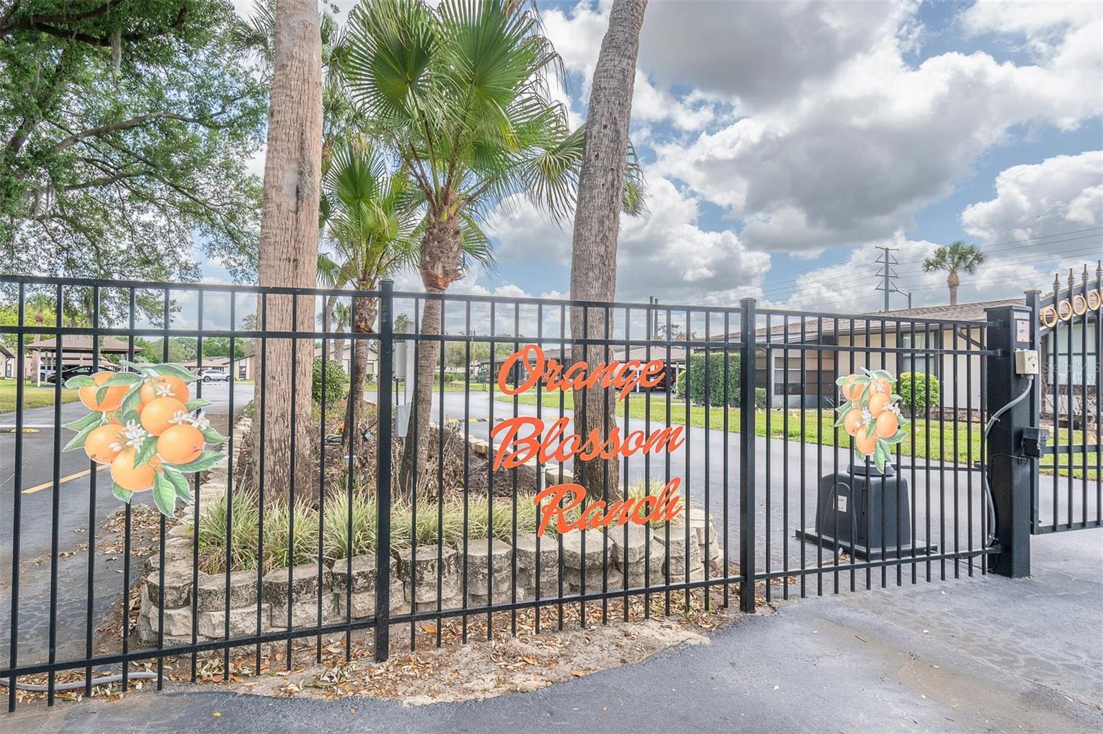 37730 Alissa Drive, FL
