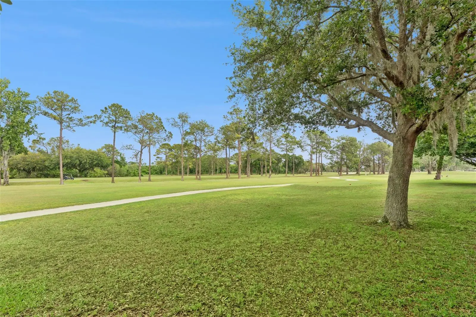 4627 Blue Major Drive, FL