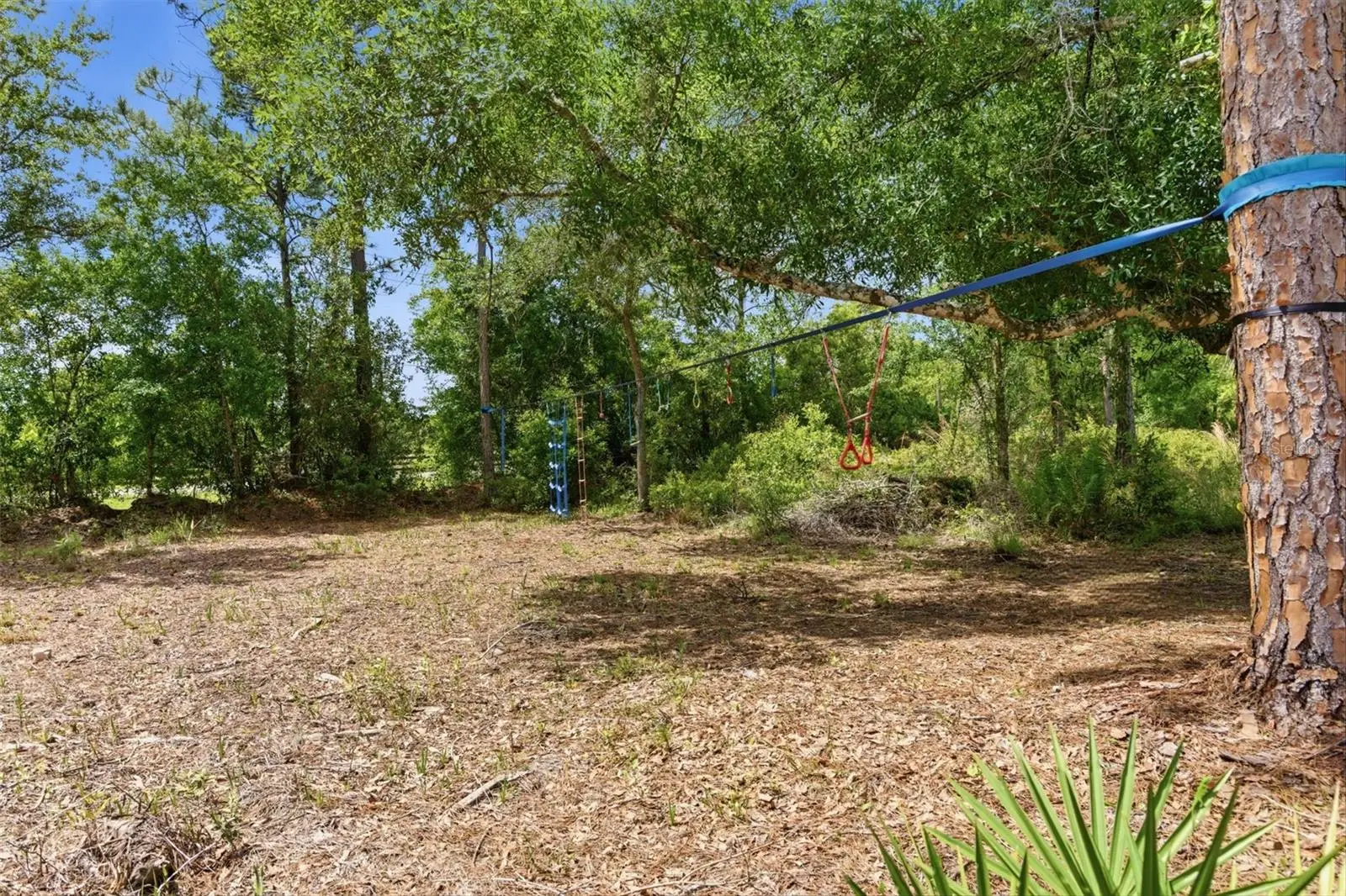 4529 Caesar Avenue, FL
