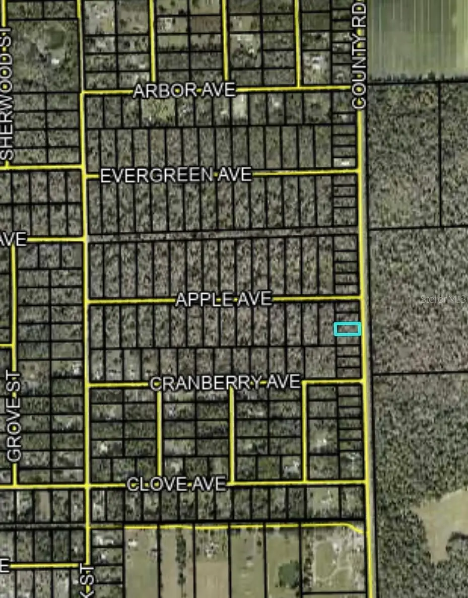 2166 Cr-305, FL