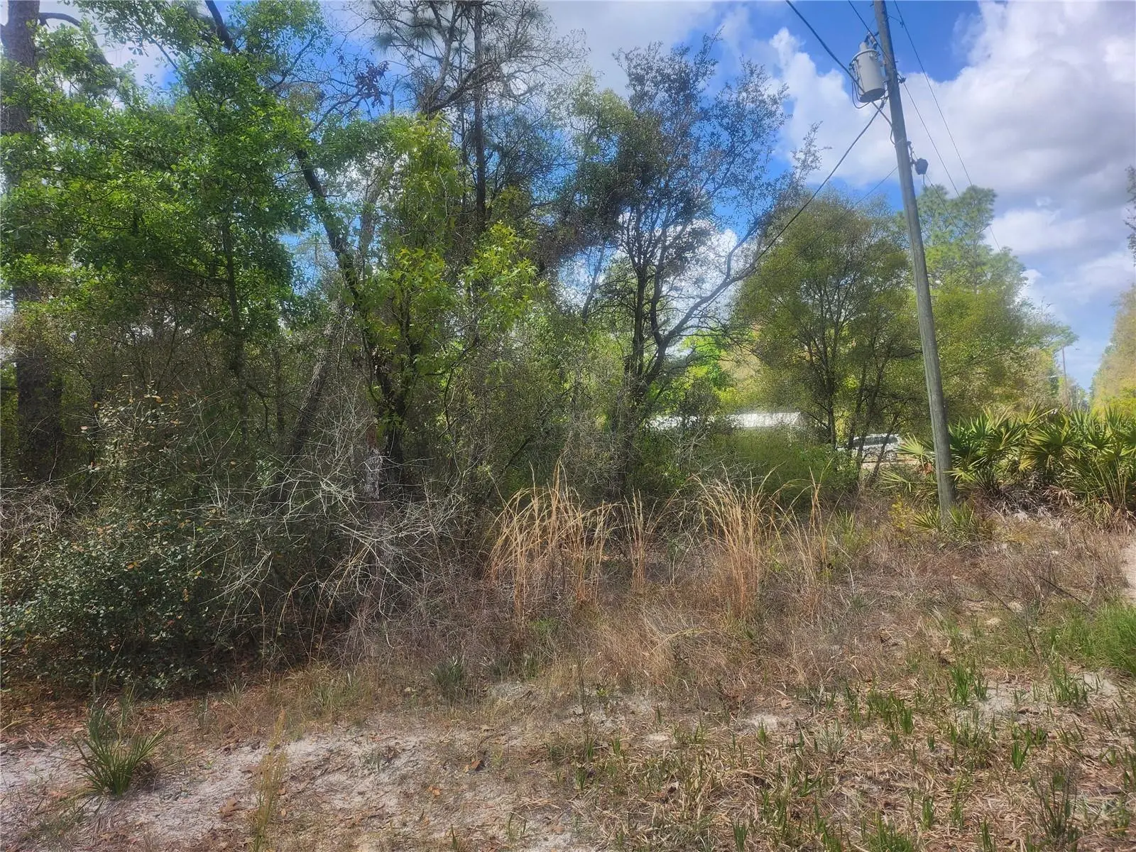 Tbd 236 Lane, FL