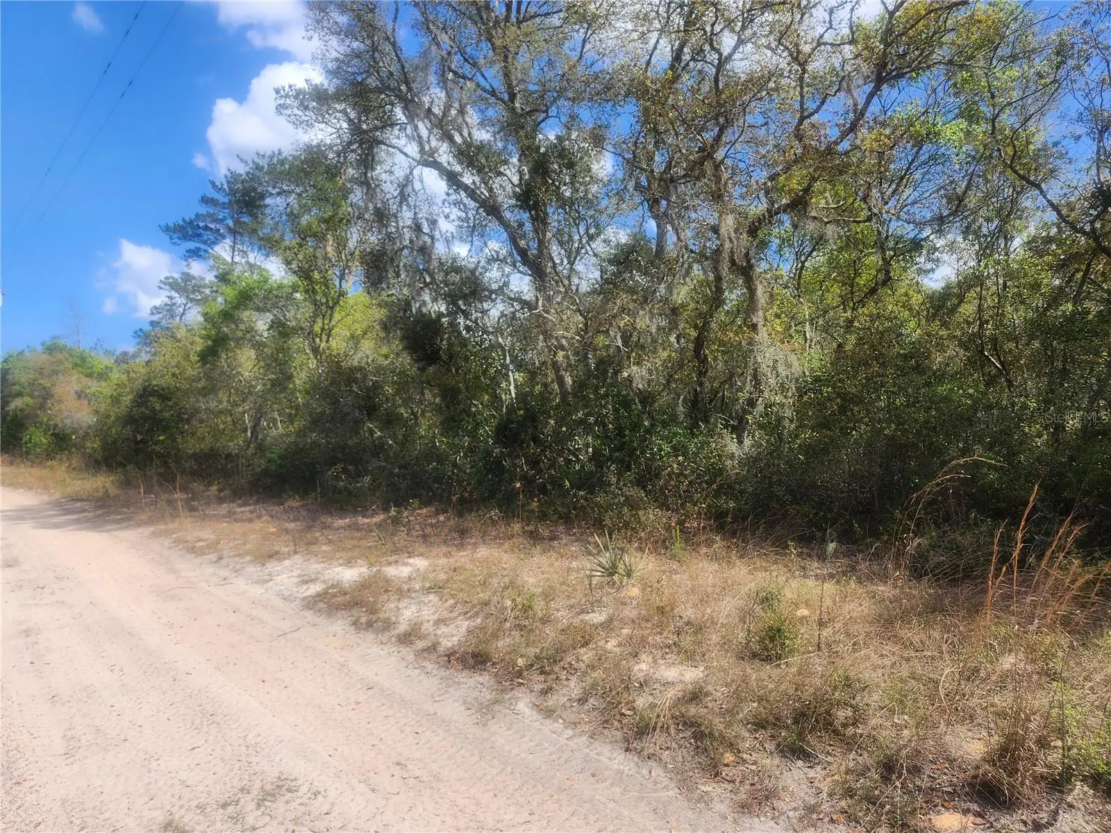 Tbd 236 Lane, FL