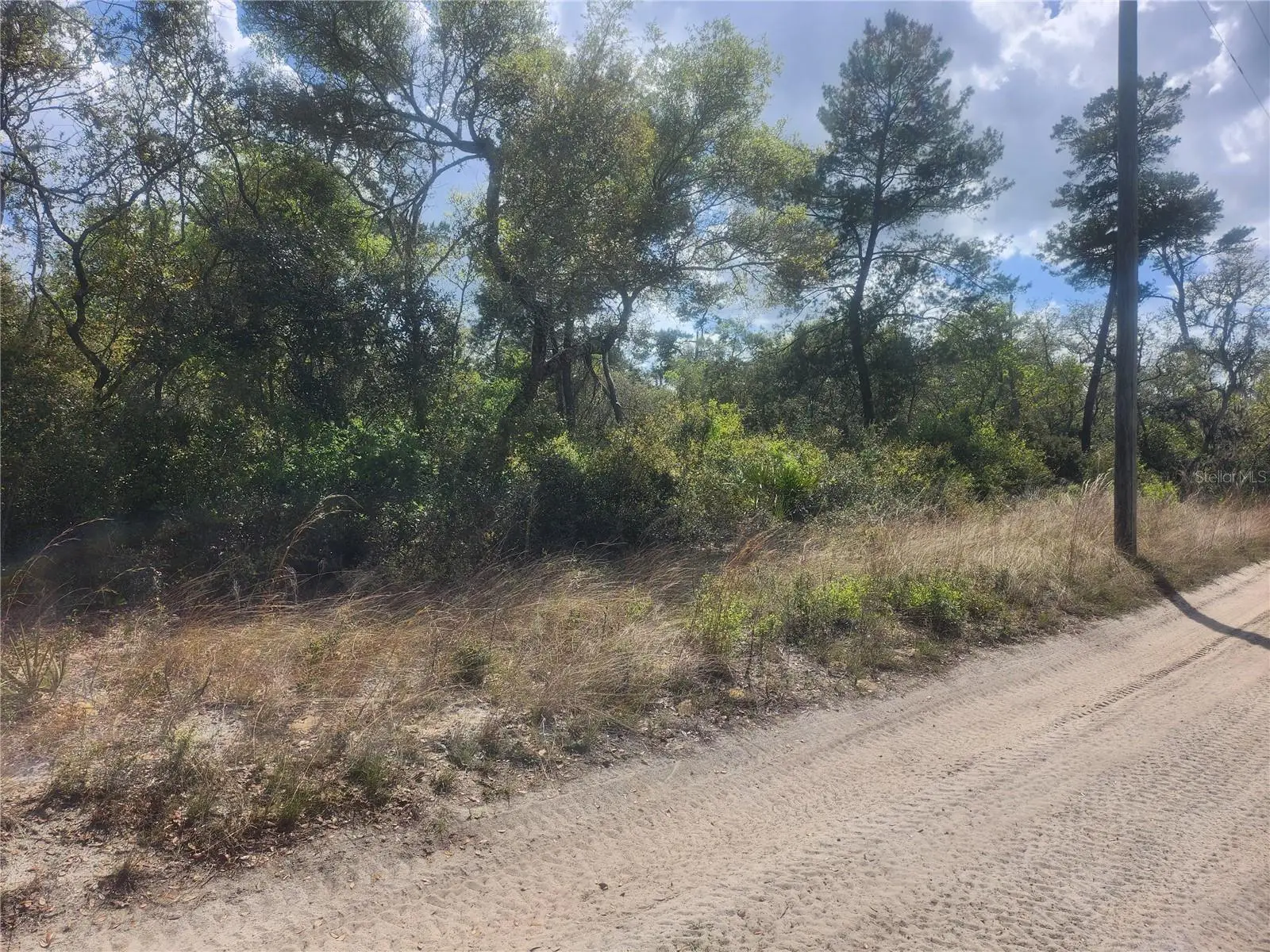 Tbd 236 Lane, FL