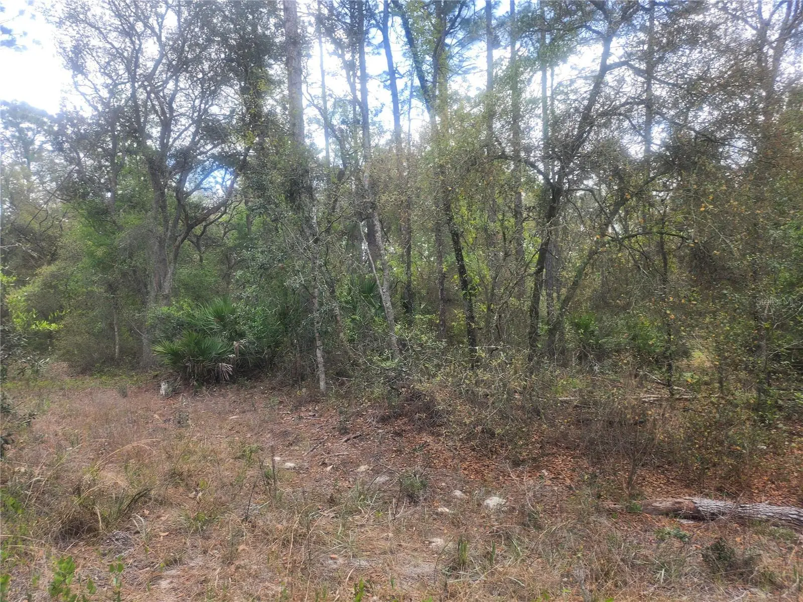 7446 151st Place, FL