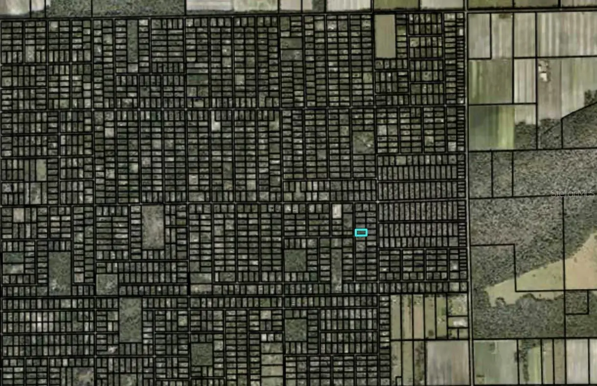 2157 Grove Street, FL