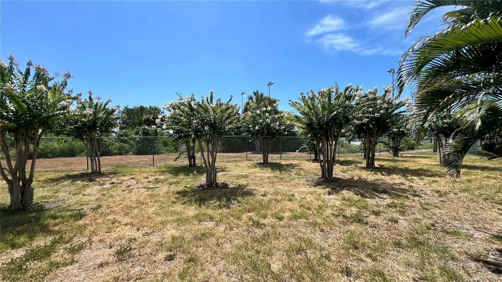 1266 Ribolla Drive, FL