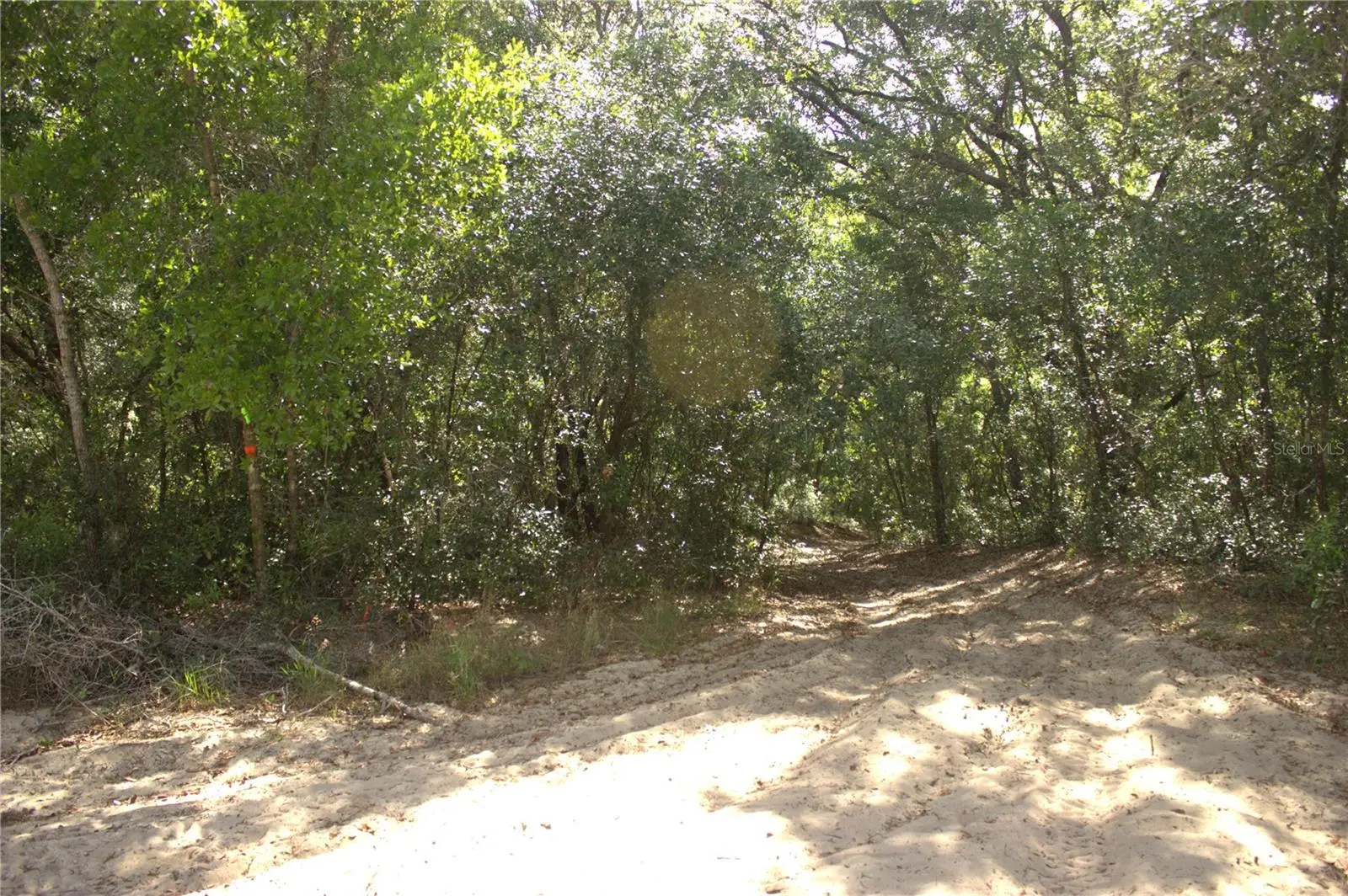 Redbud Road, FL