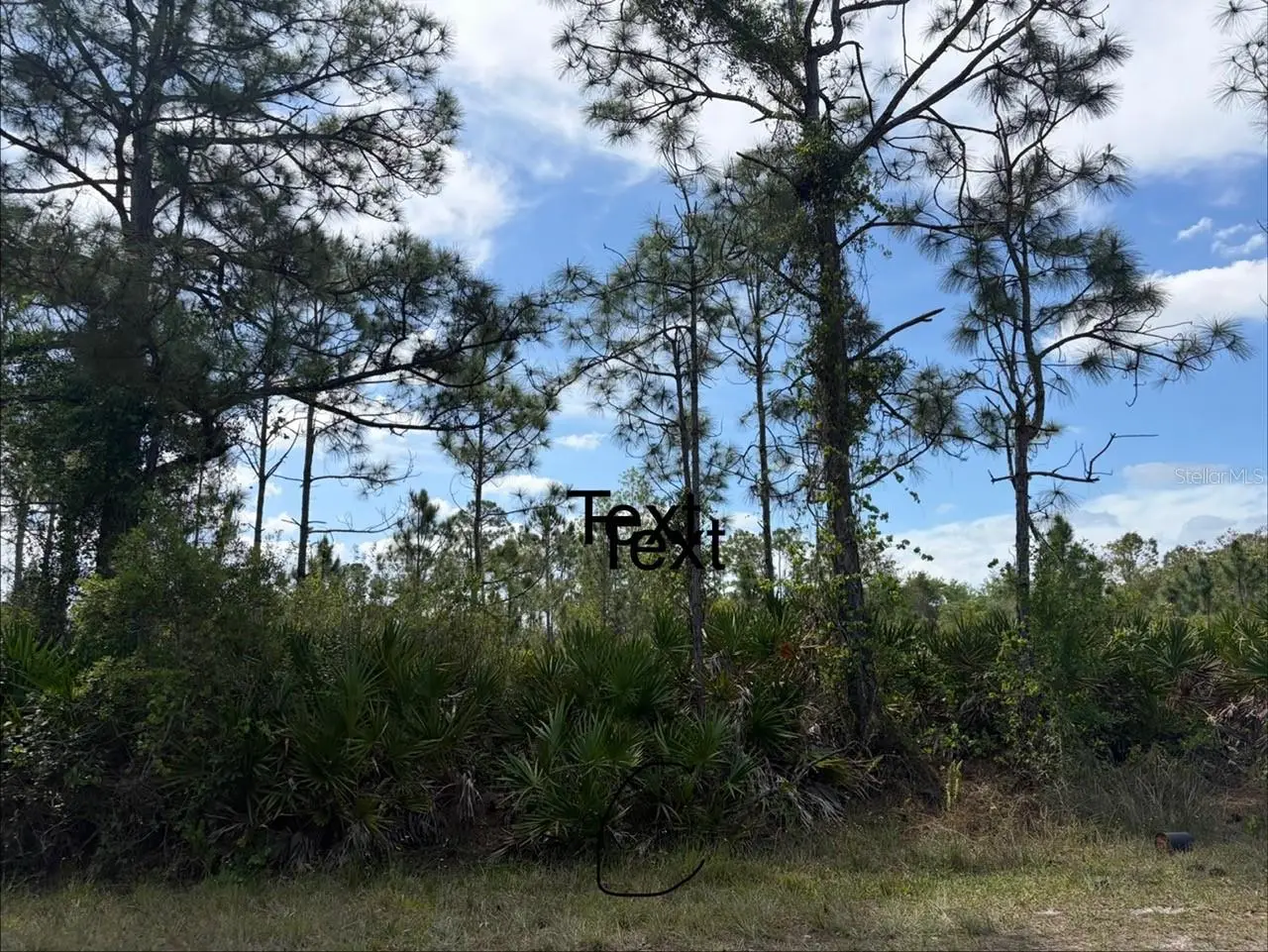 28131 Ramiro Drive, FL