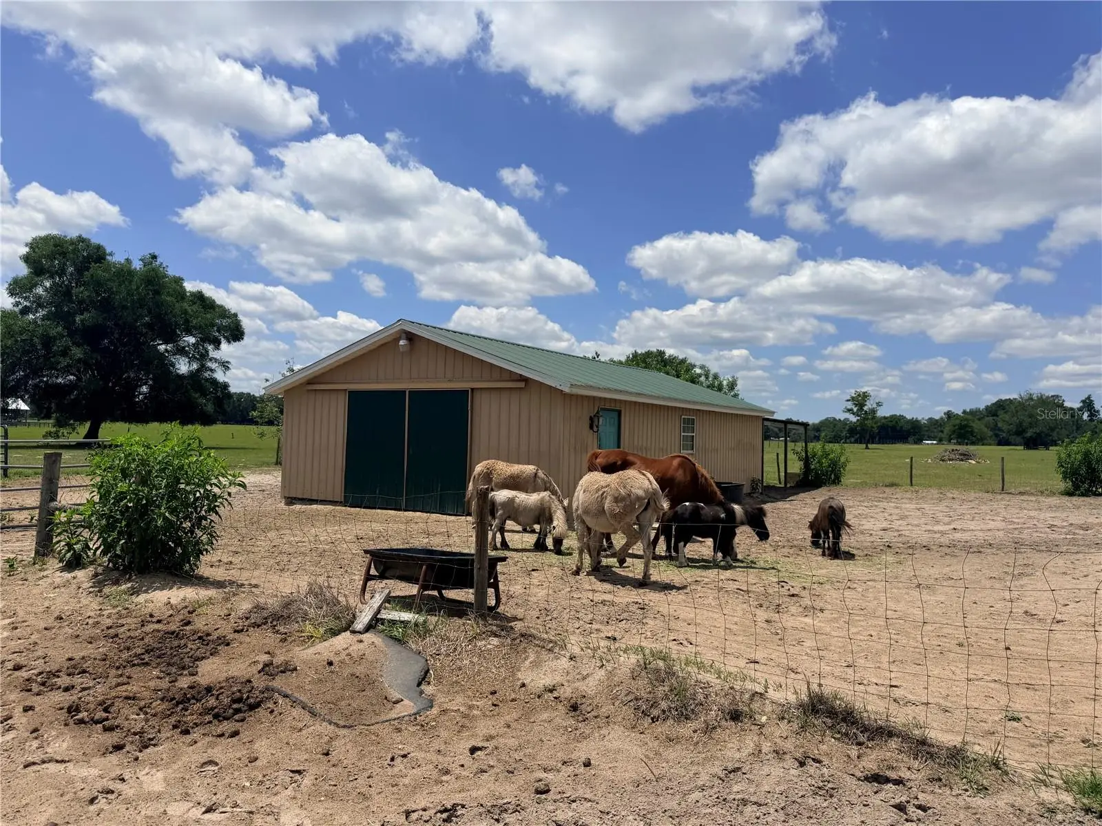 12764 County Road 223, FL