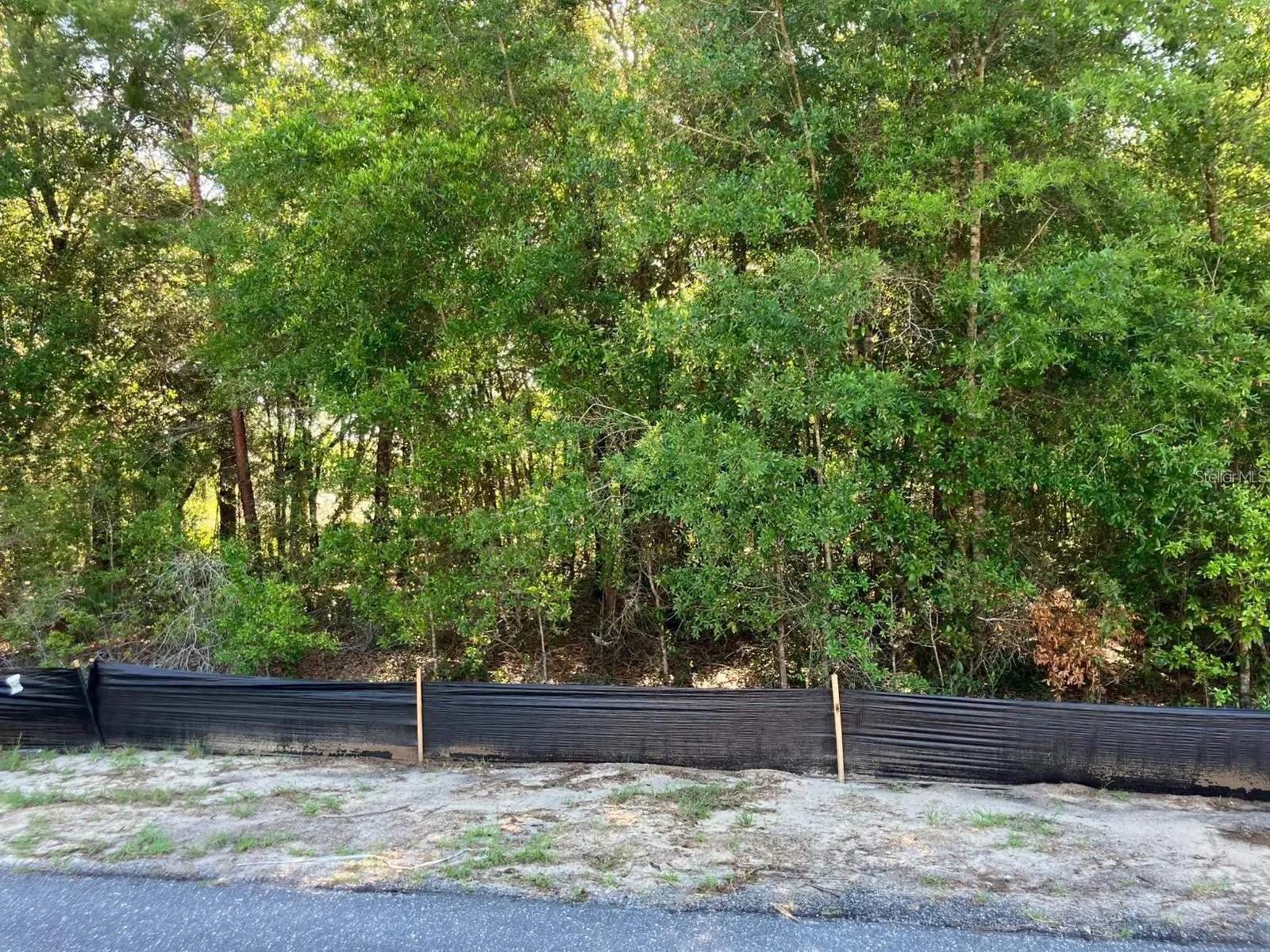 8227 Galena Avenue, FL