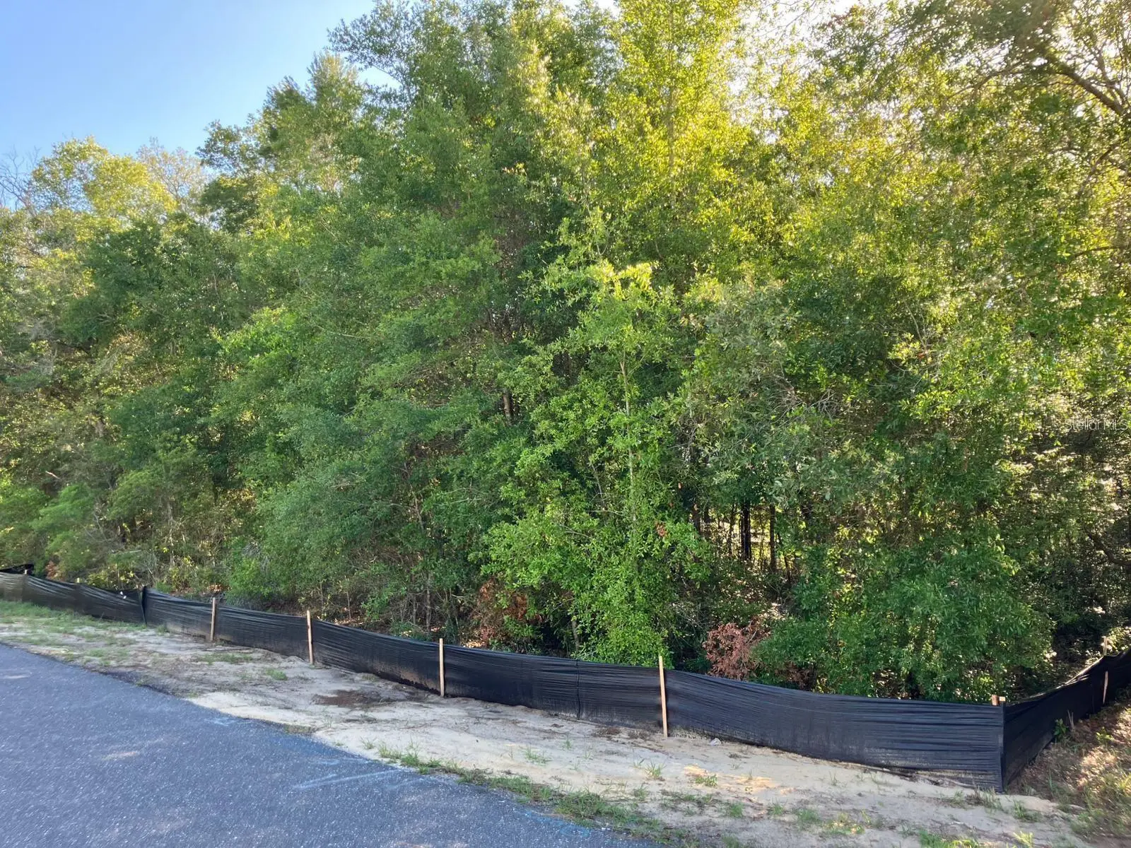8227 Galena Avenue, FL