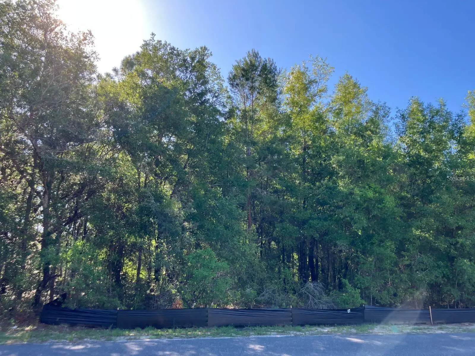 8227 Galena Avenue, FL